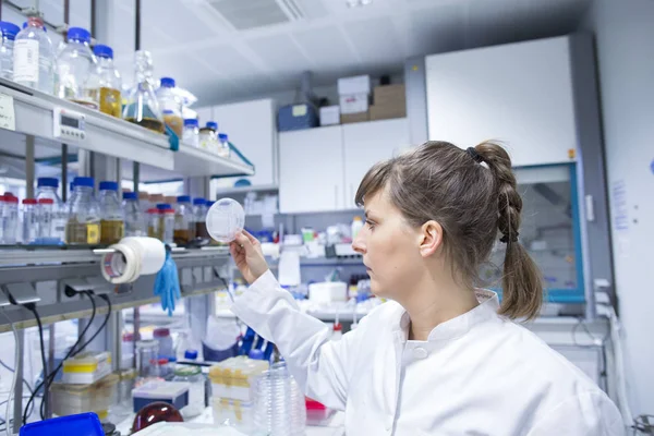 Junge Naturwissenschaftlerin Arbeitet Biologischen Labor — Stockfoto