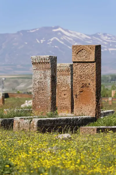 Turcja Anatolia Wschodniej Anatolii Prowincji Bitlis Ahlat Zobacz Seljukian Grave — Zdjęcie stockowe