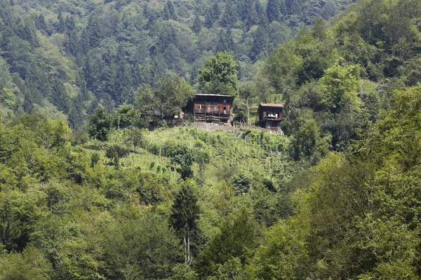 Turcja Region Morza Czarnego Typowe Domy Szkieletowe Pobliżu Ayder — Zdjęcie stockowe