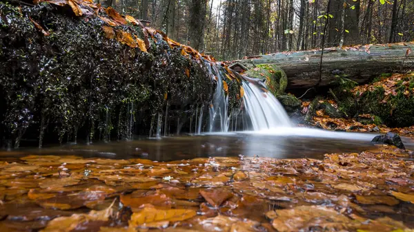 Steinbachl waterfall in autumnal forest — Stock Photo, Image