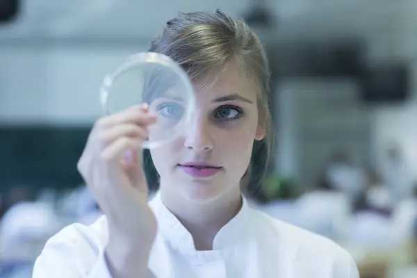 Unga Kvinnliga Naturvetare Titta Bakterier Kultur Petriskål Mikrobiologiska Laboratoriet — Stockfoto