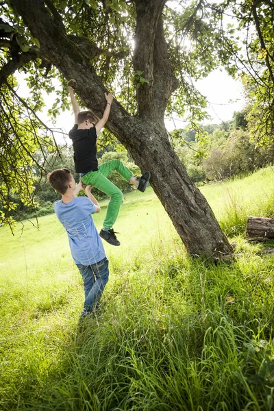 Boy Helping His Friend Climb Tree — Stock Photo, Image