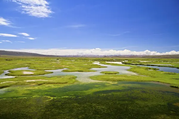 Zuid Amerika Peru Andes Landschap Met Groene Gras Overdag — Stockfoto