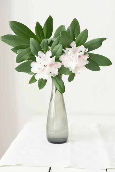 Rhododendron Vase Table Indoors — Stock Photo, Image