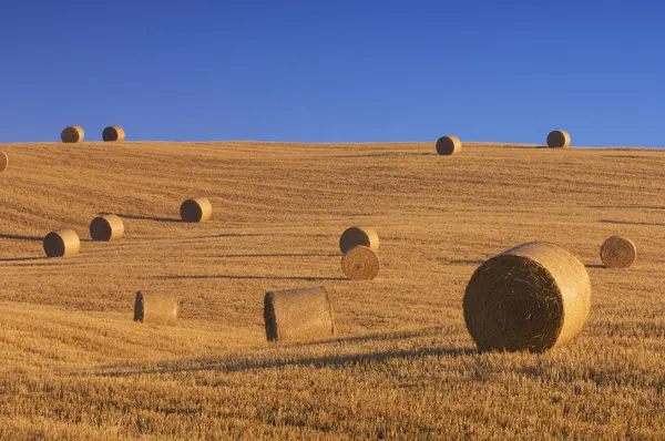 Italië Toscane Stoppels Veld Met Hooibalen Voor Blauwe Hemel — Stockfoto