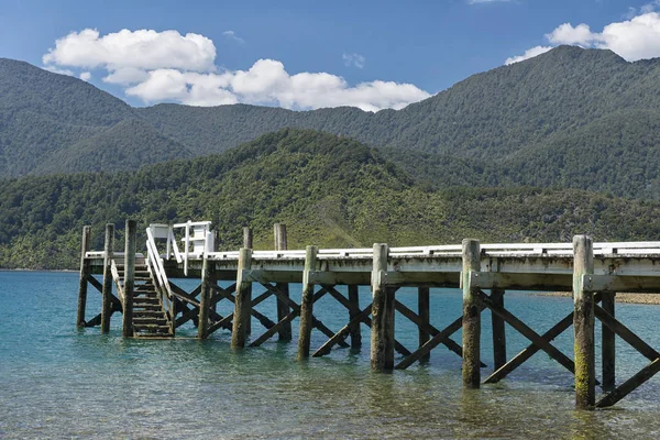 Nueva Zelanda Isla Sur Marlborough Sounds Tennyson Inlet Embarcadero Madera —  Fotos de Stock