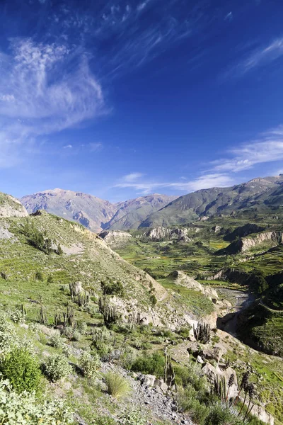 Sydamerika Peru Visa Till Colca Canyon Från Ovan Soligt Väder — Stockfoto