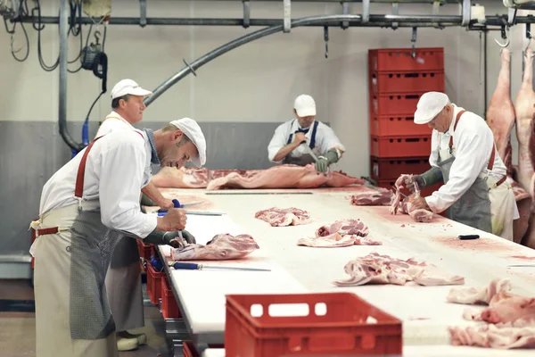 Trabajadores Masculinos Que Procesan Canales Cerdo Matadero — Foto de Stock