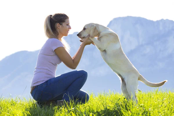 Mulher Com Labrador Retriever Prado Alpino — Fotografia de Stock