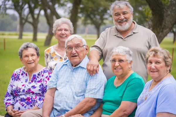 Portret Seniorzy Reunion Spotkanie — Zdjęcie stockowe