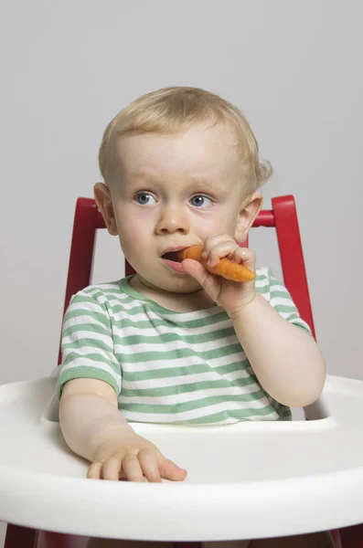 Дитячий Хлопчик Їсть Моркву Студійний Знімок — стокове фото
