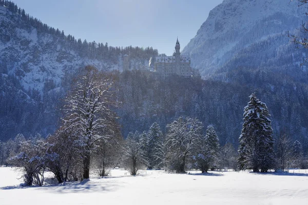 Германия Бавария Замок Нойшванштайн Снегу — стоковое фото