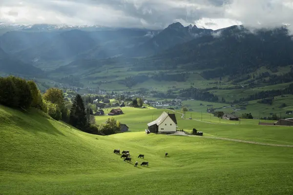 Sviçre Saint Gallen Kantonu Mera Swiss Alps Içinde Ahşap Kulübe — Stok fotoğraf