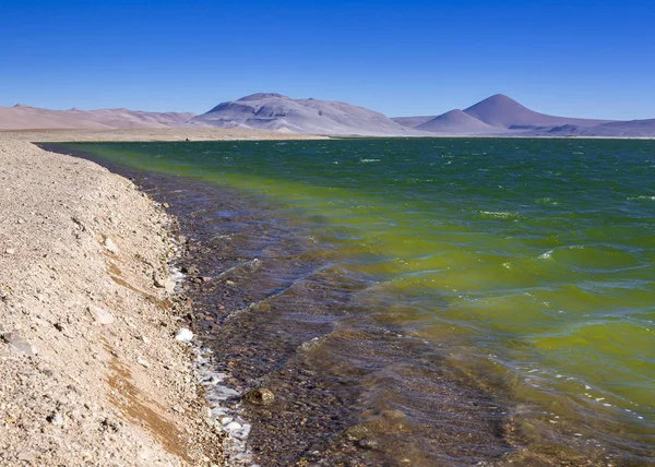 Şili Atacama Çölü Lagün Jama Pass — Stok fotoğraf