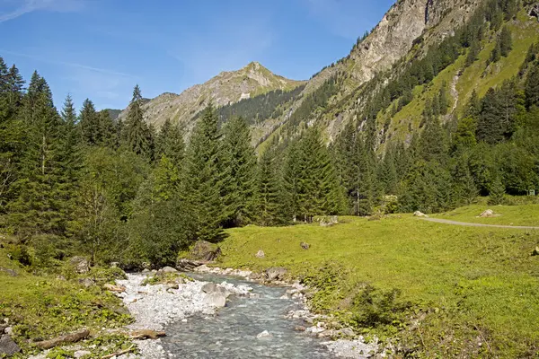 巴伐利亚 Oybach 树木在河溪和山在背景上 — 图库照片