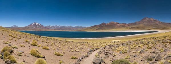 Amérique Sud Chili Désert Atacama Laguna Miscanti Arrière Plan Andes — Photo