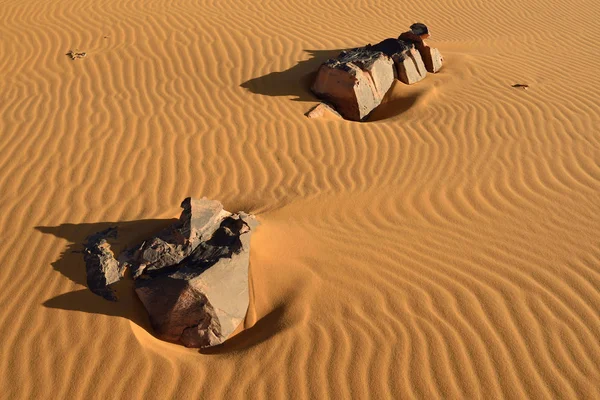 北アフリカ アルジェリア サハラ砂漠 砂の波紋 ストーンズ 砂丘に — ストック写真