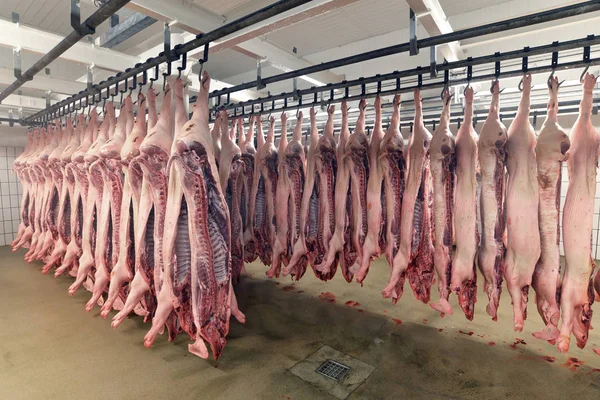Lados Cerdo Almacén Frigorífico Matadero — Foto de Stock