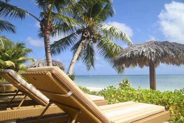 Сейшельские Острова Остров Дигу Вид Пляж Анс Реюньон Солнцезащитные Кресла — стоковое фото