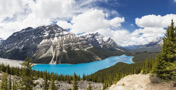Канада Альберти Скелястих Гір Національний Парк Джаспер Banff Національний Парк — стокове фото