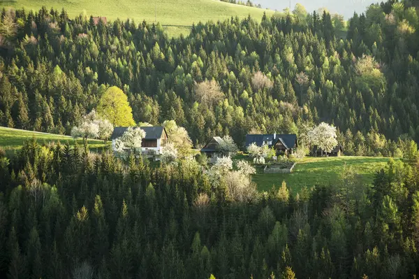 開花風景のオーストリア シュタイアー マルク州 ドイチュランツベルク 西シュタイアー マルク州農家 — ストック写真