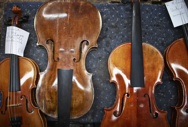 Violins Repaired Violin Maker Workshop — Stock Photo, Image