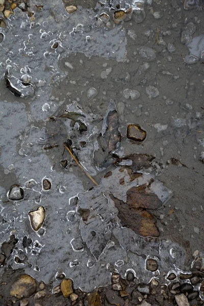 Flaque Eau Congelée Avec Pierres Feuilles Automne — Photo