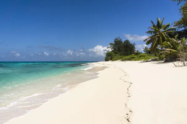 Seychellene Northern Coral Group Denis Island Beach – stockfoto