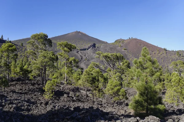 西班牙 加那利群岛 拉帕尔马 圣马丁火山 Fuencaliente附近的Cumbre Vieja — 图库照片