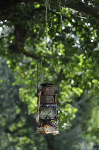 Vieille Lanterne Rouillée Suspendue Arbre Dans Jardin — Photo