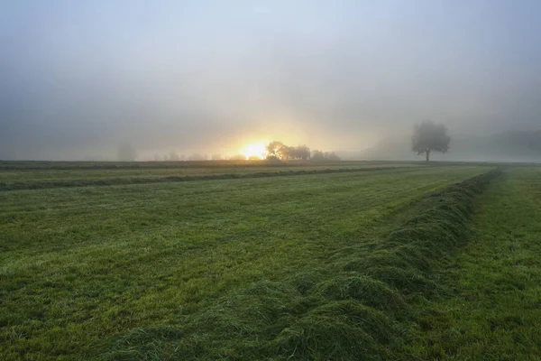 Вид Скошенное Поле Восходе Солнца Ненниг Германия — стоковое фото