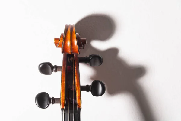 Closeup Violino Século Sobre Fundo Branco — Fotografia de Stock