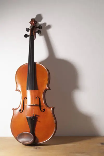 白い背景の上 世紀からヴァイオリンのクローズ アップ — ストック写真