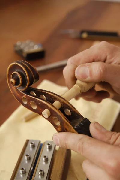 Artesano haciendo violín —  Fotos de Stock