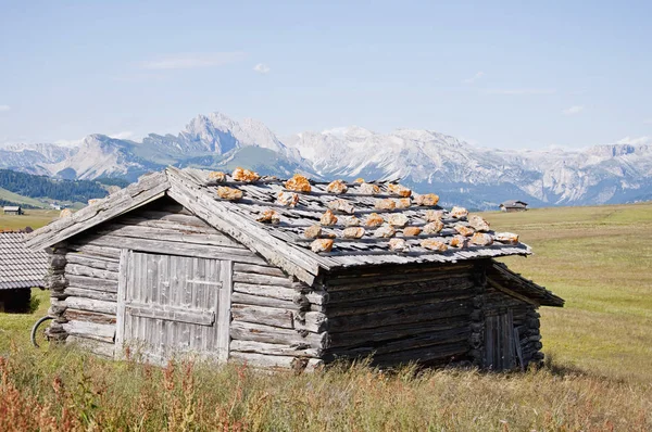 Alpine hut on Seiser Alm — Stock fotografie