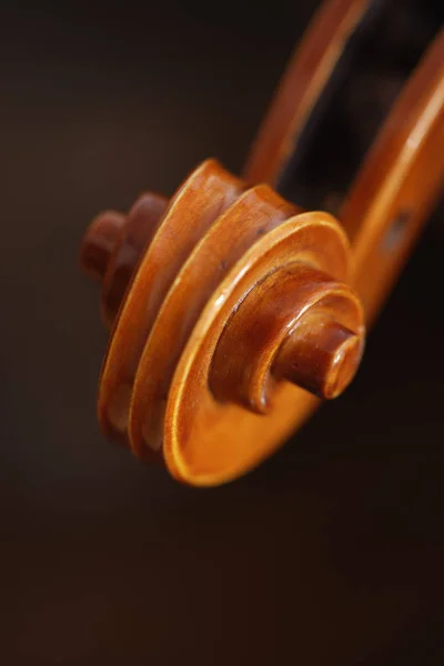 Violin scroll on brown — Stock Photo, Image