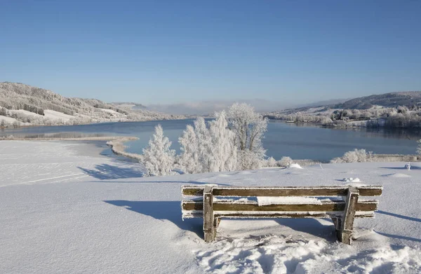 Austria Pusta Ławka Snowy Jeziora Irrsee Tle — Zdjęcie stockowe