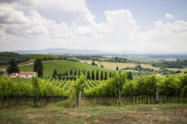 Italien Toscana Chianti Toskanska Landskapet Med Vinrankor Moln — Stockfoto