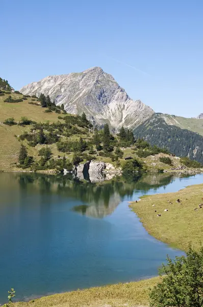 Vista Lago Traualpsee Durante Dia Áustria — Fotografia de Stock