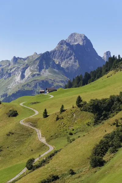 Austria Vorarlberg View Hochkunzelspitze Mountain Bregenz Forest Green Grass — Stock Photo, Image