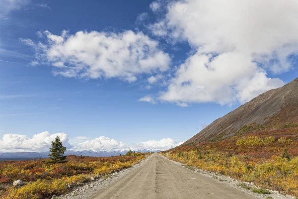 Usa Alaska Zobacz Denali Autostrady Jesienią — Zdjęcie stockowe