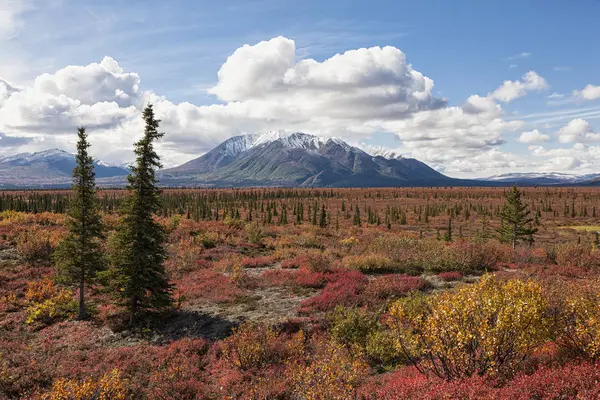 Eua Alasca Paisagem Longo Estrada Denali Outono Com Alaska Range — Fotografia de Stock