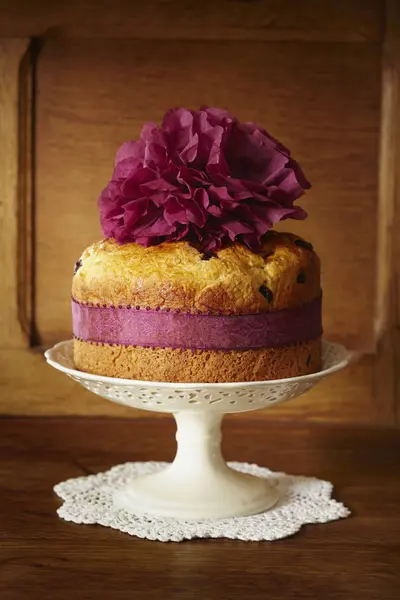 Gâteau panettone aux canneberges — Photo