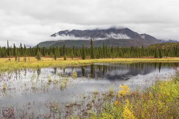 Usa Alaska Blick Auf Landschaft Herbst Mit Fluss — Stockfoto