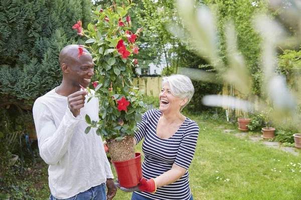 Riendo vecinos en el jardín con planta en maceta — Stock Photo