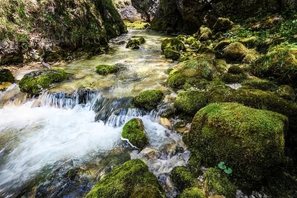 Водоспад в Альпах Австрії — стокове фото