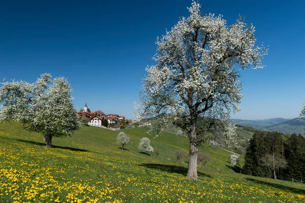 Mostviertel Avusturya 'da bir yürüyüş.