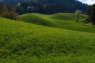 Afrika 'da Safari Mavi gökyüzü