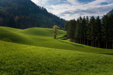 Afrika 'da Safari Mavi gökyüzü