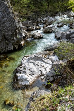 Afrika 'da Safari Mavi gökyüzü